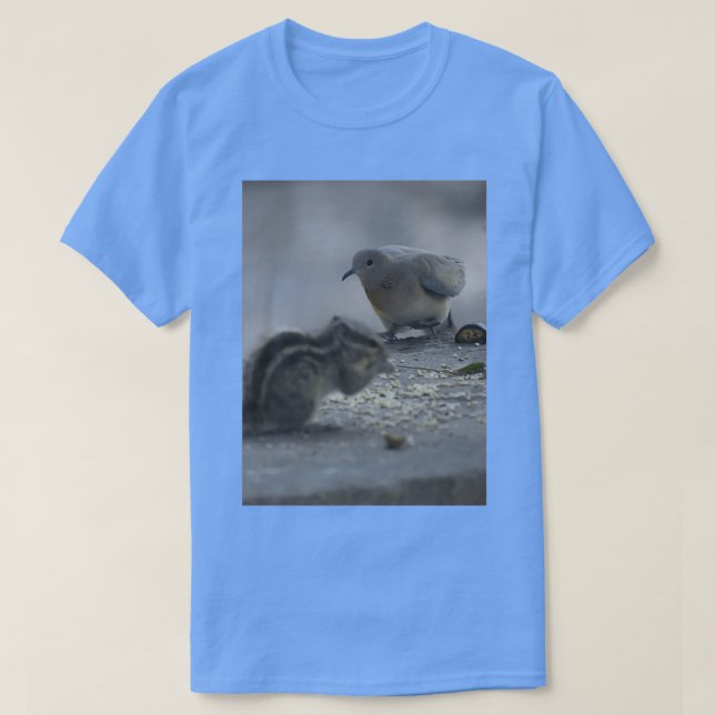 pigeon and Squirrel bonding 2 T Shirt (Design framsida)