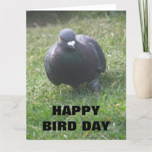 Pigeon Anpassningsbar Giant Birthday Card Kort
