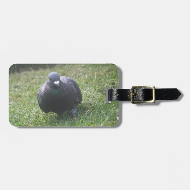Pigeon Anpassningsbar Luggage Tag Bagagebricka (Horisontell Framsida)