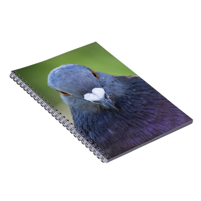 Pigeon Anteckningsbok (Högra Sidan)