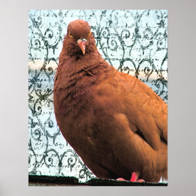 Pigeon Art Poster (Framsidan)