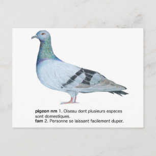 Pigeon av NuancesdePigeon T-shirts Vykort