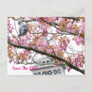 Pigeon Bird Eiffel sparar Torn-vykortet Vykort