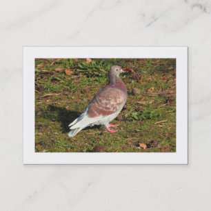 Pigeon (Borderade) Visitkort