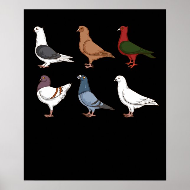 Pigeon Breeding Gift Manar Pigeon Tävla Pigeon Poster (Framsidan)