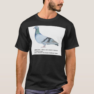 Pigeon by NuancesdePigeon T-shirts