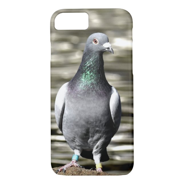 Pigeon Case-Mate iPhone Skal (Baksida)