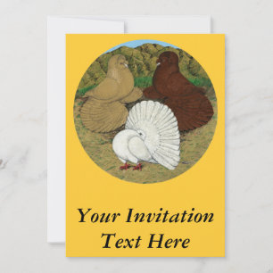 Pigeon Combo Inbjudningar