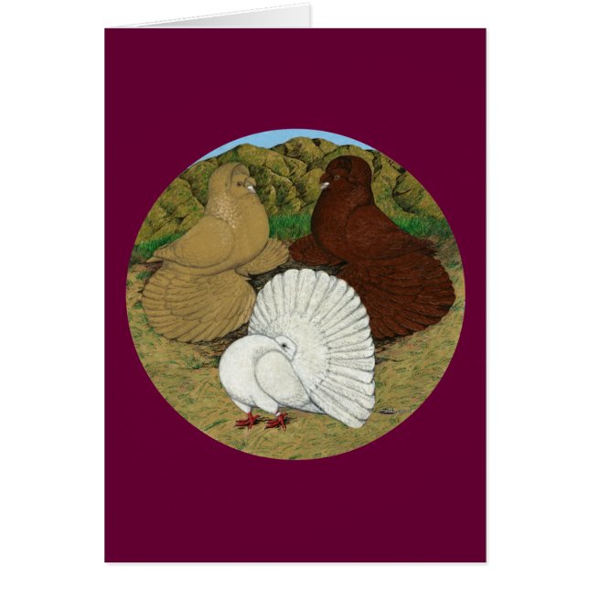 Pigeon Combo OBS Kort (Framsidan)