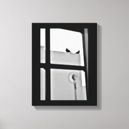 Pigeon Drama Canvastryck