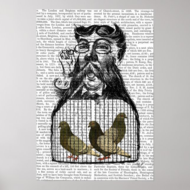 Pigeon Fancier Poster (Framsidan)