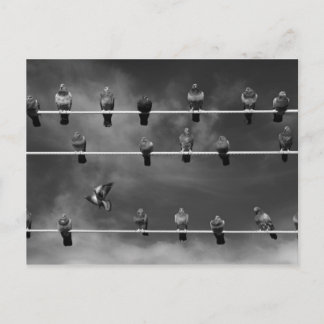 Pigeon Foosball-vykort Vykort