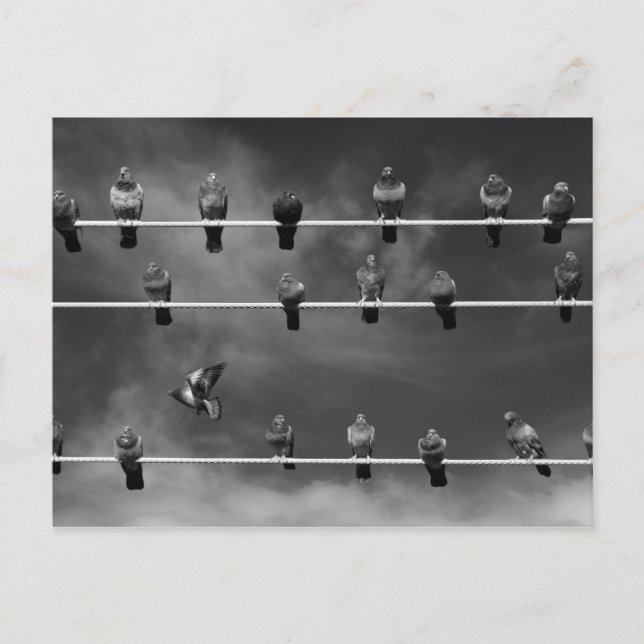 Pigeon Foosball-vykort Vykort (Framsida)