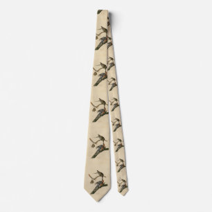Pigeon från Audubon's Birds of America Slips