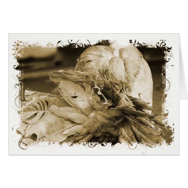 Pigeon Hälsningskort (Framsidan Horizontal)