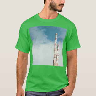 Pigeon House T Shirt