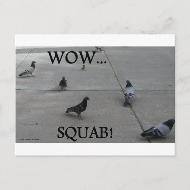 PIGEON HUMOR VYKORT (Framsida)