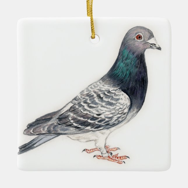 Pigeon II Bird Art Ornament (Framsida)