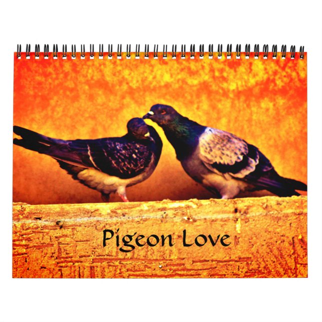 Pigeon Kärlek Kalender (Omslag)