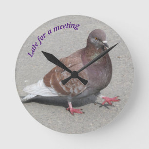 Pigeon klocka