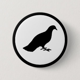 Pigeon Knapp