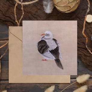 Pigeon Kort