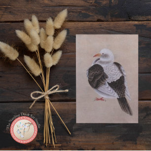 Pigeon Kort