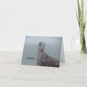 Pigeon-kort för "Hej där" Tack Kort