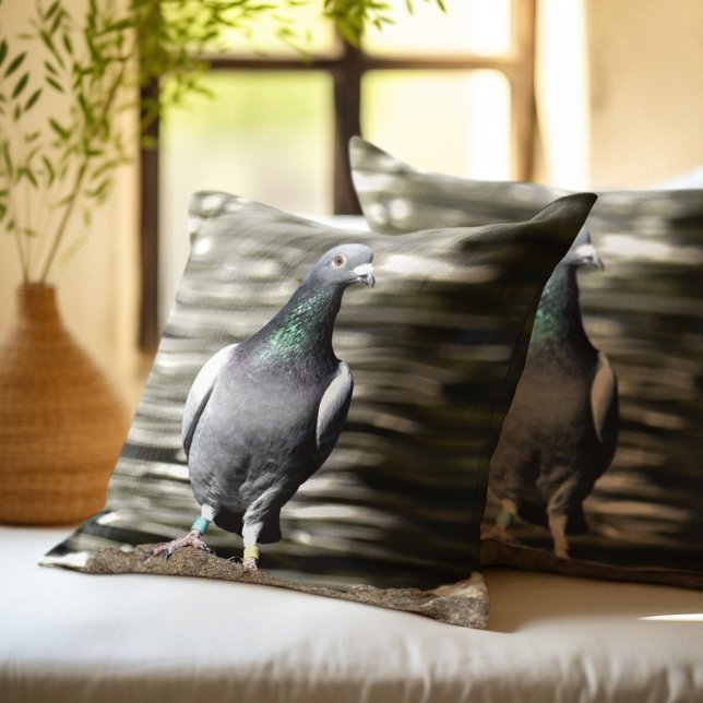 Pigeon Kudde (Skapare uppladdad)