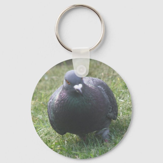 Pigeon-nyckelkedja Nyckelring (Framsida)