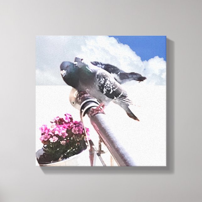 Pigeon och Flowers Canvastryck (Framsida)