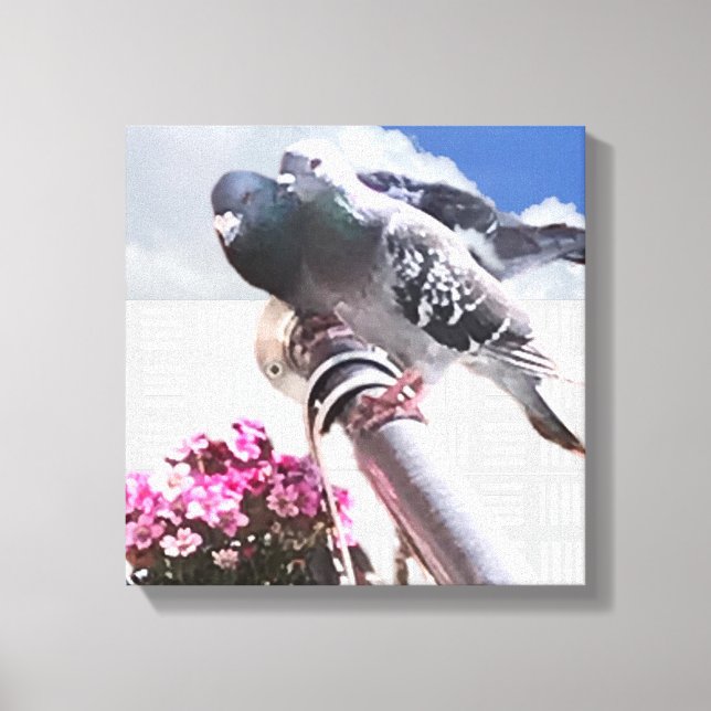 Pigeon och Flowers Canvastryck (Framsida)