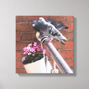 Pigeon och Flowers Canvastryck