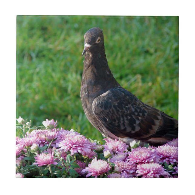 Pigeon och Morsa Kakelplatta (Framsidan)