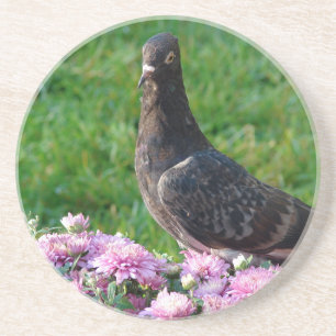 Pigeon och Morsa Underlägg Sandsten