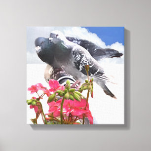 Pigeon och Rosa Geranium Flowers Canvastryck