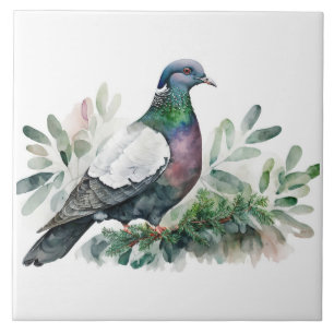 Pigeon på en Spruce Träd Kakelplatta