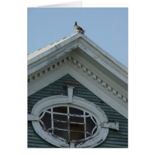 Pigeon på gamla huset hälsningskort