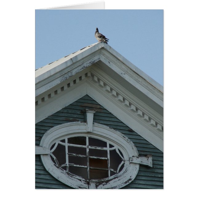Pigeon på gamla huset hälsningskort (Framsidan)