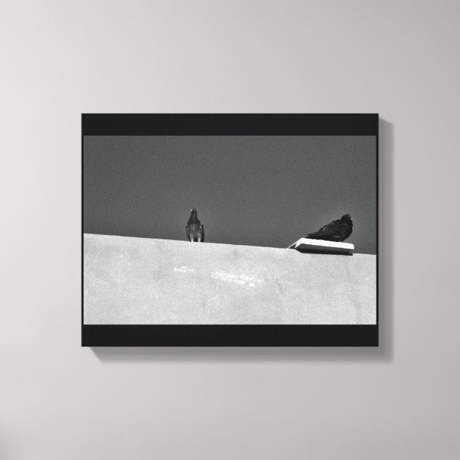 Pigeon Pair Canvastryck (Framsida)