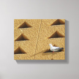 Pigeon Photo Canvastryck