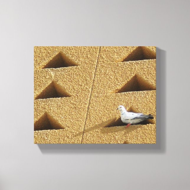 Pigeon Photo Canvastryck (Framsida)