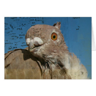 Pigeon Poetry Hälsningskort