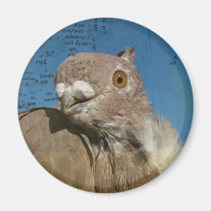 Pigeon Poetry Magnet