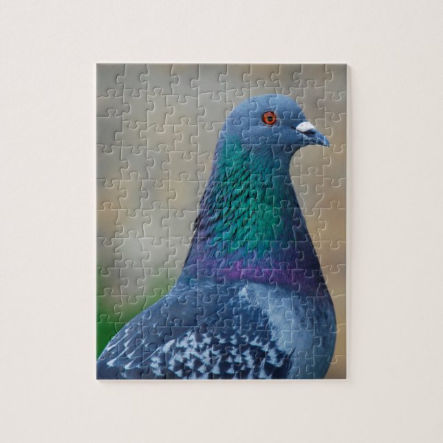 Pigeon Pussel (Vertikal)