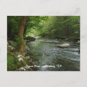 Pigeon River - Gatlinburg, TN Vykort