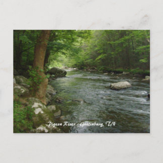 Pigeon River - Gatlinburg, TN Vykort