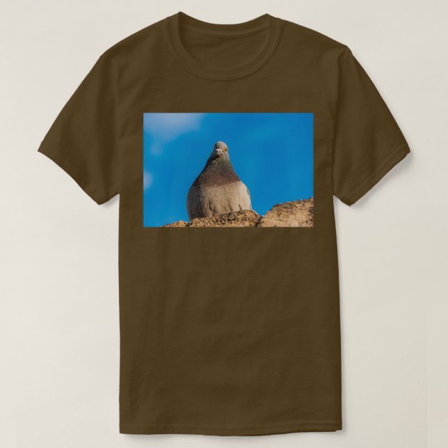 Pigeon sitta på en stenvägg t shirt (Design framsida)