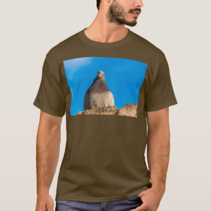Pigeon sitta på en stenvägg t shirt