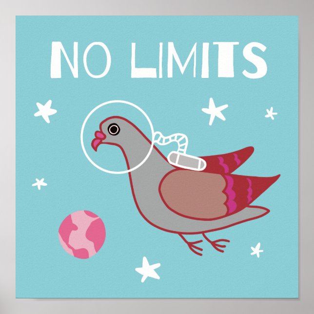 Pigeon Space Explorer Poster (Framsidan)